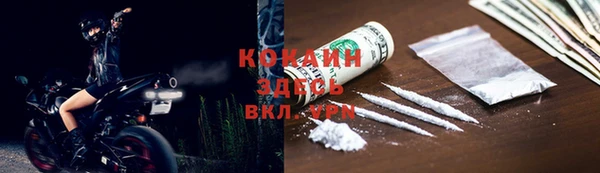 дживик Богданович
